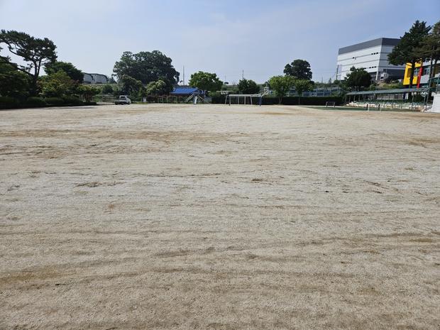 장성군중학교 운동장 소금살포: 전국산업안전으로 깨끗하고 안전한 운동 공간 만들어보세요!
