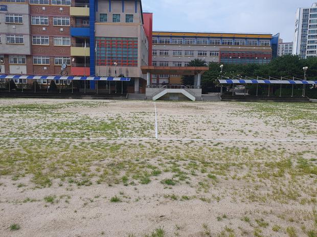 장성읍초등학교 운동장 잡초 제거: 안전하고 효과적인 시공 전략!
