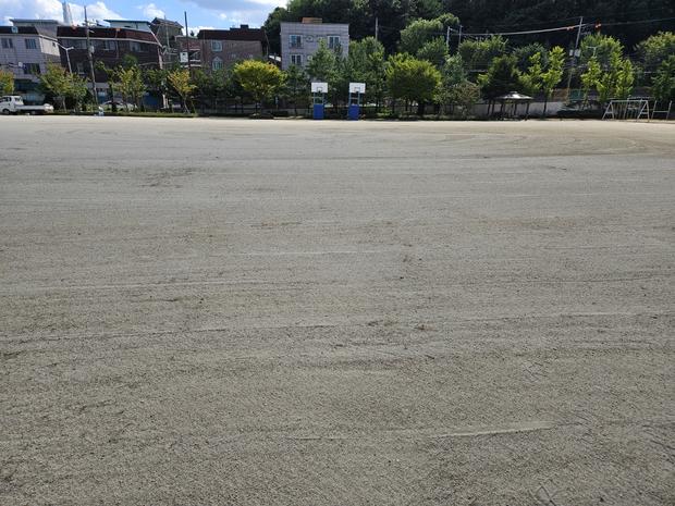 장성읍중학교 운동장 소금살 포장 걱정 끝! 전문 시공으로 안전하고 오래도록 즐겁게!