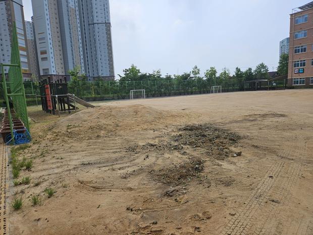 진원면초등학교 운동장 소금 살포 ❌ 안전 & 지속 가능한 관리 ➕ 전문 시공 ?