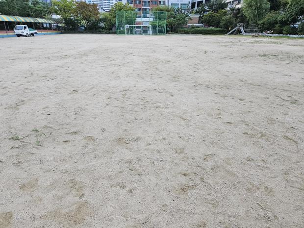 진원면고등학교 운동장 잡초 제거: 전국산업안전으로 깨끗하고 안전한 놀이터 만들기