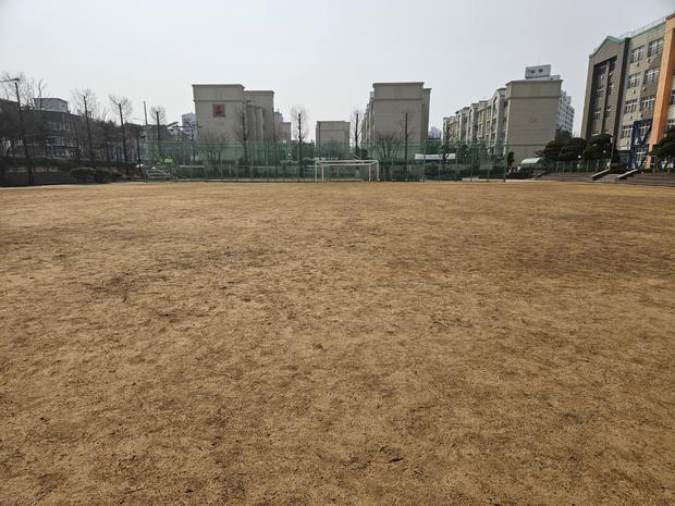 황룡면초등학교 운동장 소금살포: 전문가 안전 시공으로 걱정 끝!