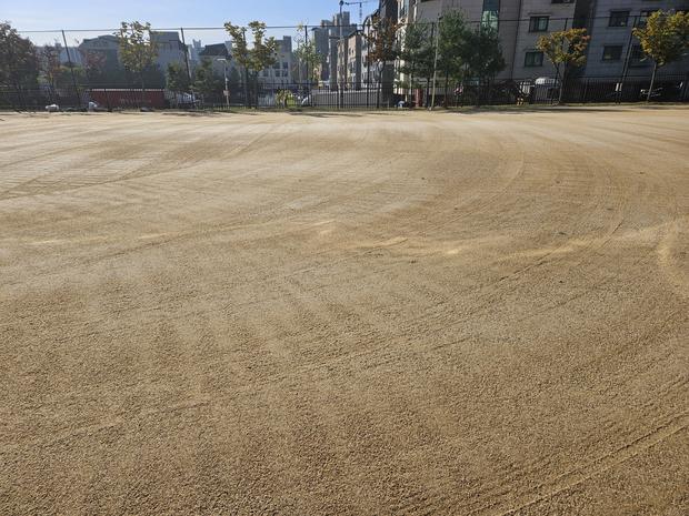 서삼면초등학교 운동장 잡초 제거: 전국산업안전으로 깨끗하고 안전한 놀이터 만들기!