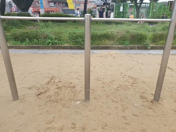 학교 운동장 잡초 제거? 전문 시공으로 안전하고 효과적인 관리를!