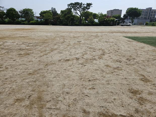북이면중학교 운동장 소금살포: 전문 시공으로 안전하고 멋진 공간 만들어보세요!