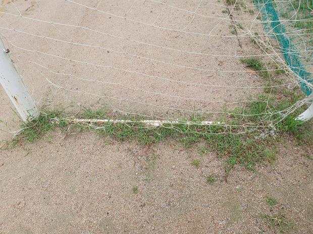 학교 운동장 안전! 북이면병 설유치원 소금살포, 전문 시공으로 신뢰 높게 유지보수!