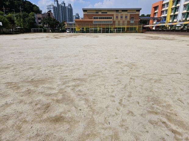 학교 운동장 잡초 제거: 전국산업안전으로 안전하고 건강한 활동 공간 만들기