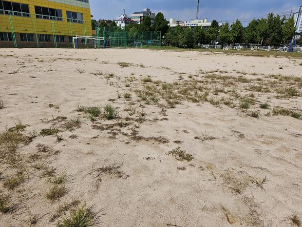 북하면중학교 운동장 모래보충, 전국산업안전으로 튼튼한 공간 만들어 줄까? 관련 이미지