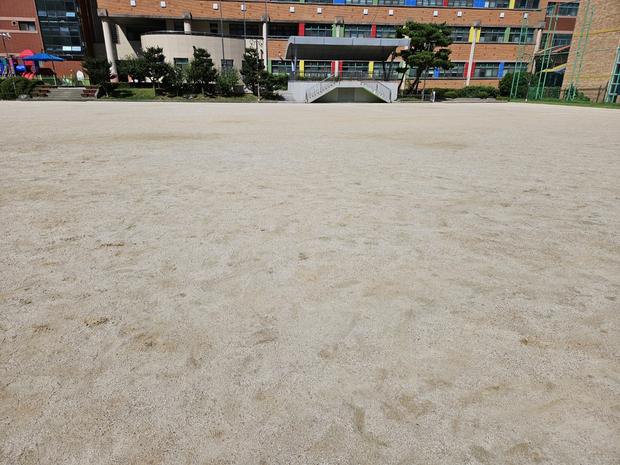 완도군유치원 운동장 소금 살포 ? 안전 최강 전문가로! ?‍?? 관련 이미지