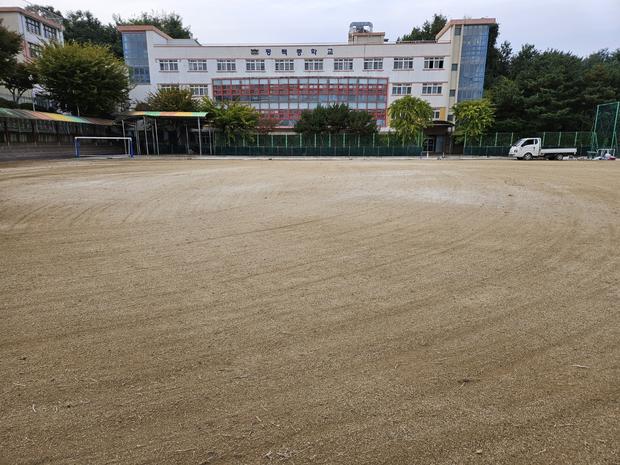 완도군중학교 운동장 관리, 전문 시공으로 안전하고 쾌적한 공간 만들어보세요! 관련 이미지