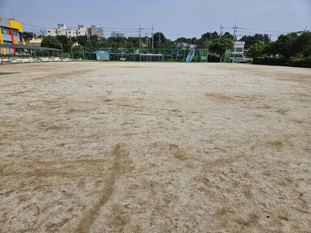 완도군병설유치원 운동장 소금살포 ?‍♀️ 안전하고 튼튼하게!  전국산업안전 전문가의 조언