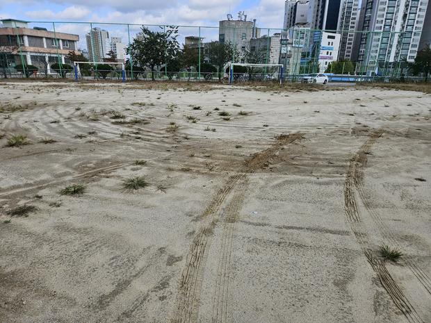 완도읍초등학교 운동장 잡초 제거 전문 업체로 안전하고 깨끗한 놀이터 만들어보세요!