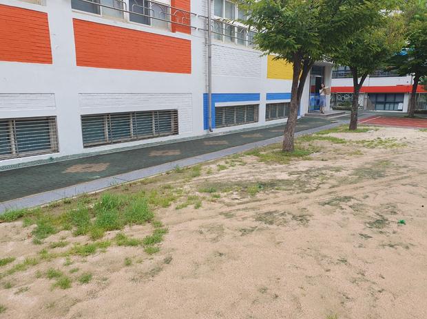 ? 학교 운동장 안전관리, 전문가로 알아보세요: 금일읍유치원 운동장 관리 사례