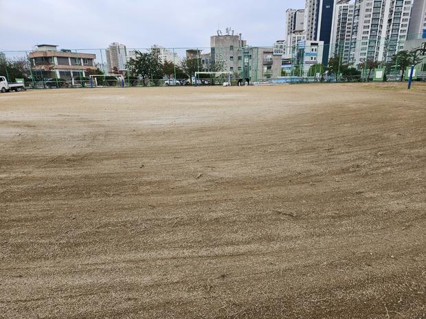 학교 운동장, 안전하게 보관하세요! 전문 시공으로 노화된  소금살 포장!