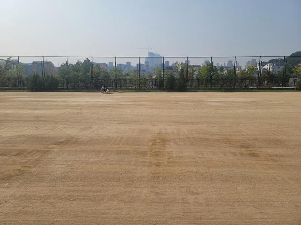 학교 운동장 잡초 제거, 전문가의 안전한 방법!