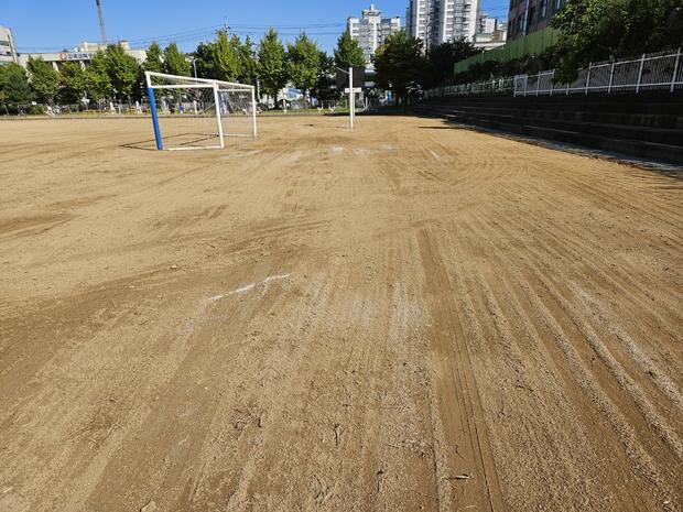 소안면고등학교 운동장 모래보충: 전문가의 안전 솔루션, 실효성까지!