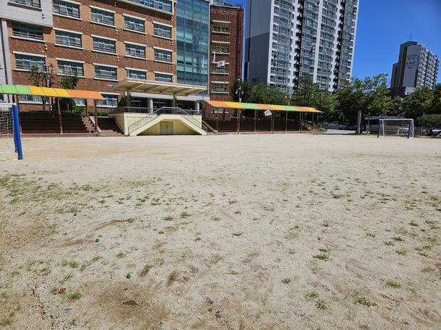 학교 운동장 잡초 제거: 전국산업안전으로 안전하고 건강한 놀이터 만들기! 관련 이미지