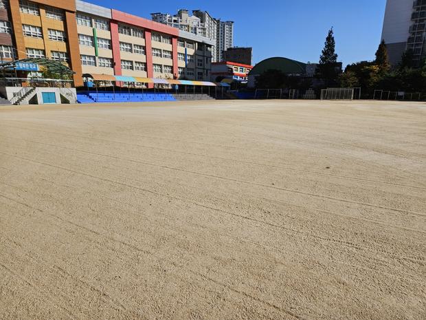 학교 운동장 잡초 제거, 전국산업안전으로 안전하고 건강한 놀이터 만들기!