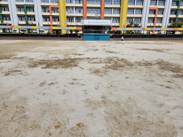 학교 운동장 관리, 안전 & 효율성 ?  금당면병설유치원 만족스러운 공간 만들기!
