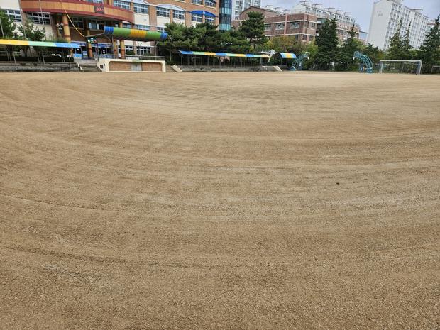 보길면 유치원 운동장, 학교 시설관리 안전 전문가가 알려준 실질적인 방법!
