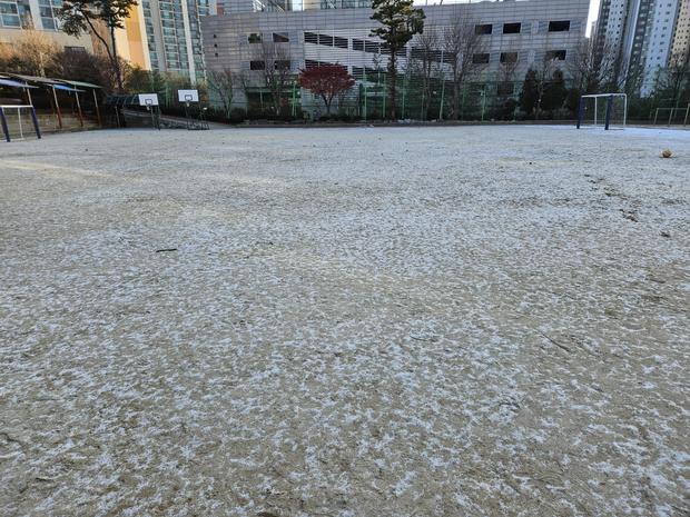 보길면초등학교 운동장 잡초 제거! 전문 시공으로 완벽하게 ✨
