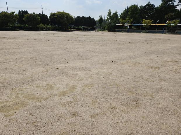 진도군초등학교 운동장, 안전하게 관리하세요! 전문 시공 팁!