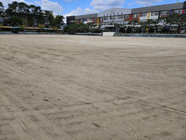 군내면유치원 운동장 관리, 품질보증 전문가로 안전하고 효율적인 유치원 운영