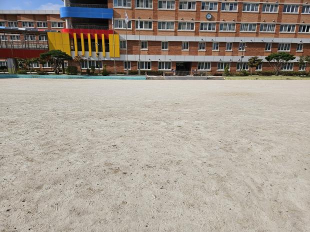 고군면초등학교 운동장 소금살포 전문 시공, 안전과 질감까지!