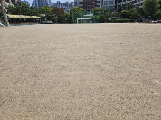 운동장 유지보수, 안전 넘치는 '전국산업안전' ? 의신면초등학교 운동장 관리