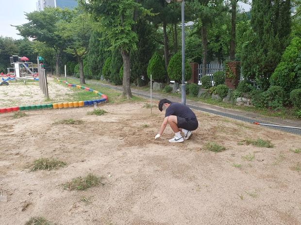 운동장 잡초 제거, 의신면 고민 안전! 전문 시공으로 완벽하게!