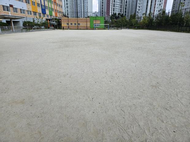 지산면초등학교 운동장 관리: 전문가로부터 안전하고 건강한 공원 만들기!