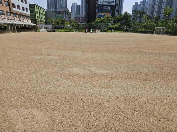 지산면고등학교 운동장 잡초 제거: 전문 시공으로 안전하고 효과적인 관리! 관련 이미지