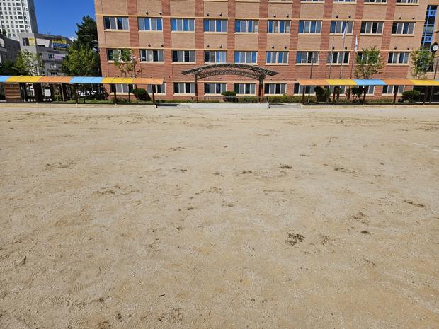 조도면고등학교 운동장 잡초 제거: 전국산업안전으로 안정적인 놀이터 만들어보세요! 관련 이미지