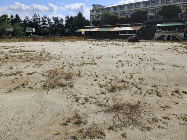 학교 운동장, 안전하게 즐겁게! 전문 조도면가사 출장 소어린이집 유지보수 관련 이미지