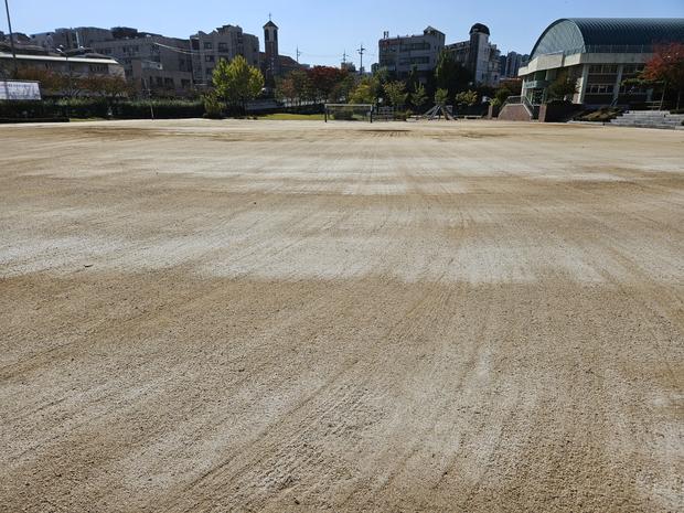 학교 운동장 잡초 제거, 안전하고 신뢰할 수 있는 조도면가사!