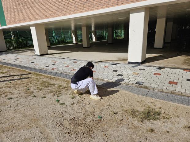 학교 운동장 관리, 전문가의 안전 확보 ⚠️  조도면거차 출장소 중학교 운동장 관리 관련 이미지