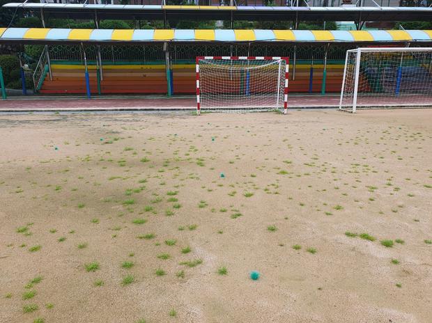 학교 운동장 관리, 전문가의 안전 확보 ⚠️  조도면거차 출장소 중학교 운동장 관리