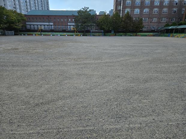 신안군어린이집운동장 안전 관리, 전국산업안전 핵심! ?