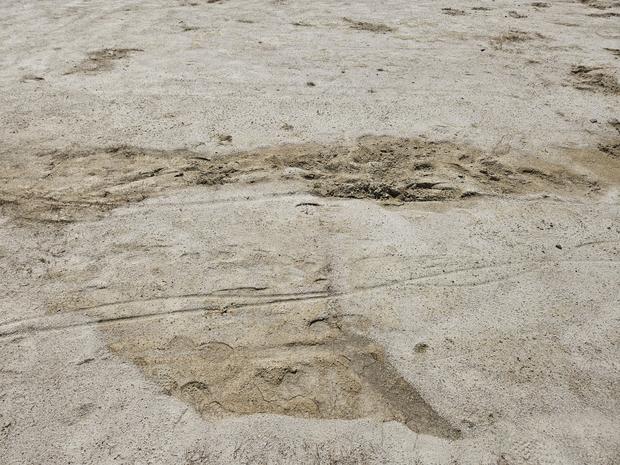 신안군병설유치원운동장모래보충: 전국산업안전 규칙 실천, 안정적인 운동 공간 만들어 드...