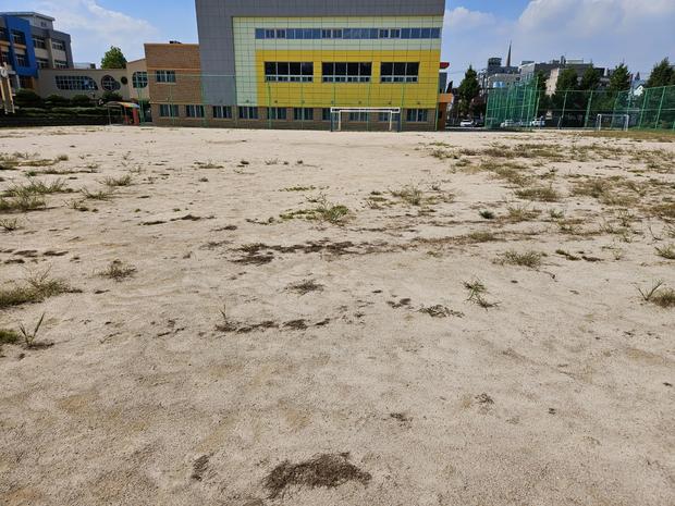 지도읍초등학교 운동장 잡초 제거, 전국산업안전으로 안심하세요!