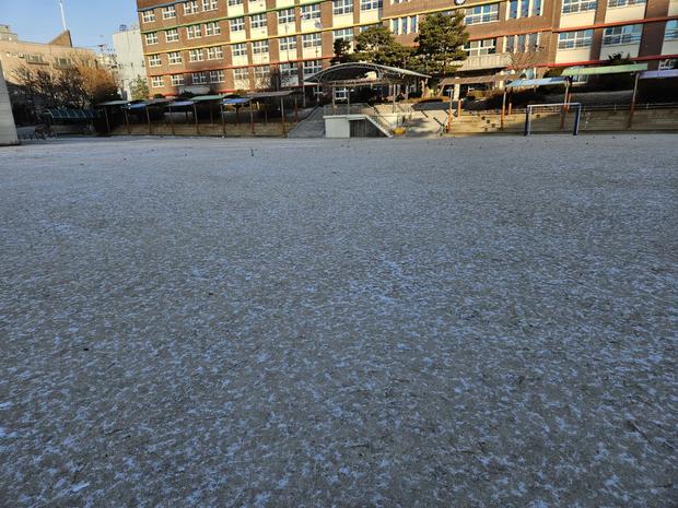 학교 운동장 잡초 제거, 전국산업안전으로 건강하고 안전한 공간 만들어봐! 관련 이미지