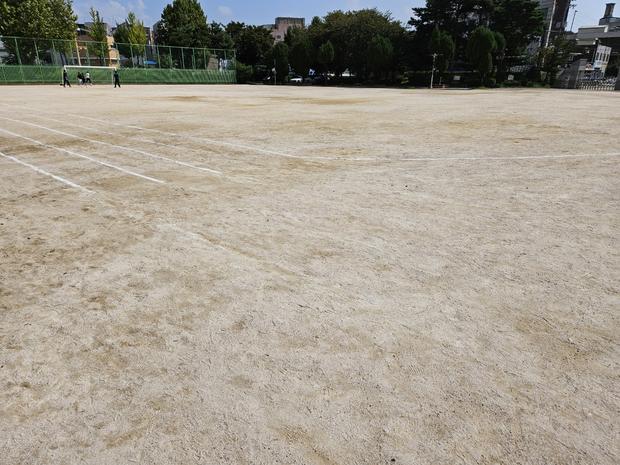 학교 운동장 안전! ⚠️ 지도읍선도출장소 어린이집 운동장 소금살포 전문 시공, 전국산...