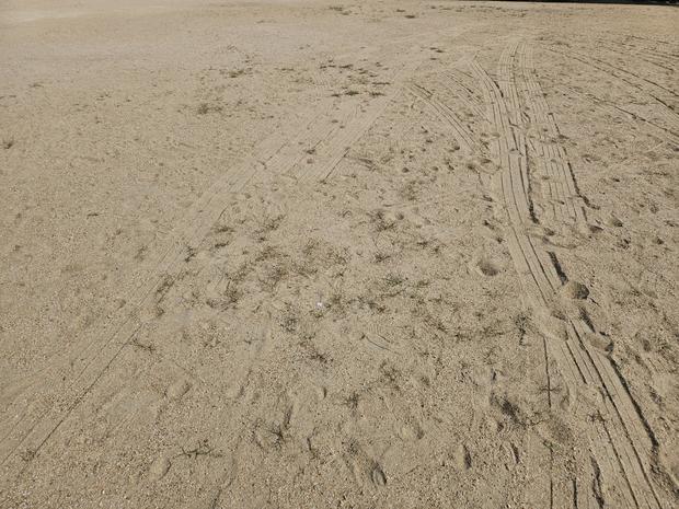 학교 운동장 잡초 제거, 전문 시공으로 안전하고 효율적인 관리! 관련 이미지