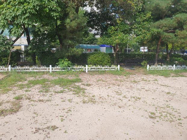 학교 운동장 증도면유치원  안전 확보는 전국산업안전! ?