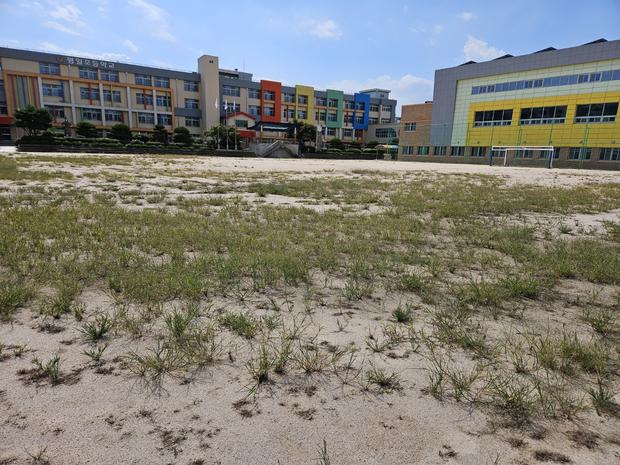 증도면병풍출장소 운동장 관리, 전국산업안전으로 안전하고 튼튼하게!