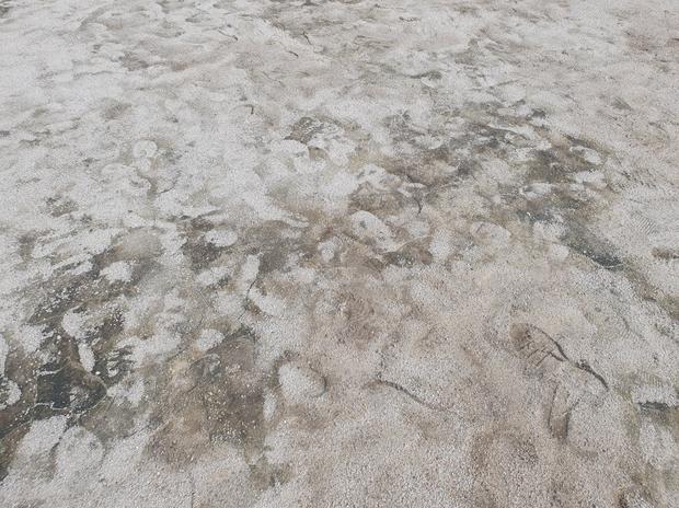 학교 운동장 잡초 제거, 전문 시공으로 안전하고 정밀하게! 관련 이미지