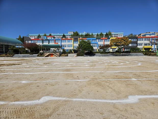 임자면 유치원 운동장 관리, 학교 안전 확보를 위한 전문적인 시설관리!