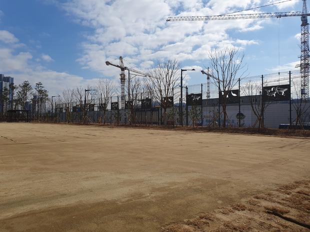 흑산면 어린이집 운동장 잡초 제거: 전문 시공으로 깨끗하고 안전한 공간 만들기