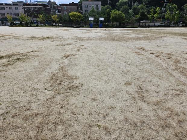 학교 운동장 유지보수, 전문 시공으로 안전하고 튼튼한 환경 만들어!