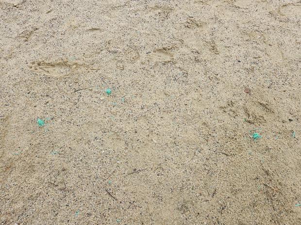 학교 운동장, 안전하게! 전문 흑산면태도출장소 고등학교 운동장 소금 살포 &  전국산... 관련 이미지